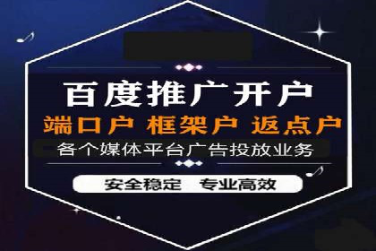 专业sem托管服务案例，揭秘广告投放优化策略